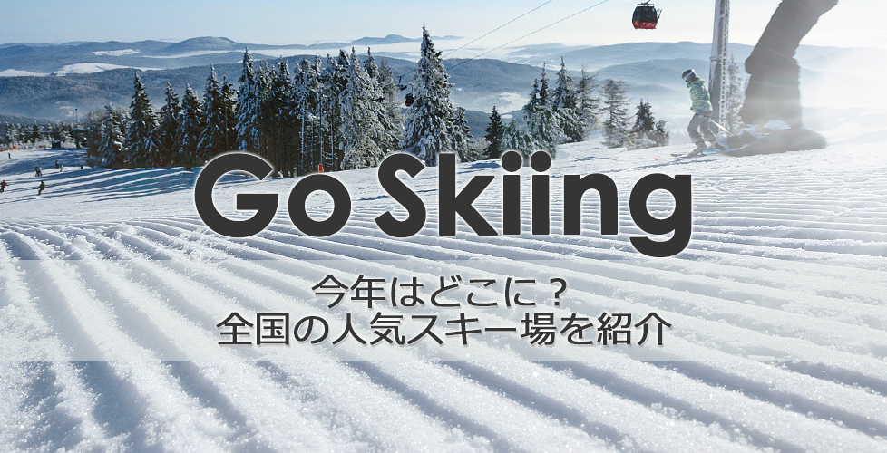 8047円 激安通販新作 状態〇 ウインター ウェア PHENIX L スキー スノボ スノーボード