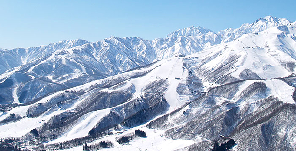 白馬八方尾根スキー場 / 長野県