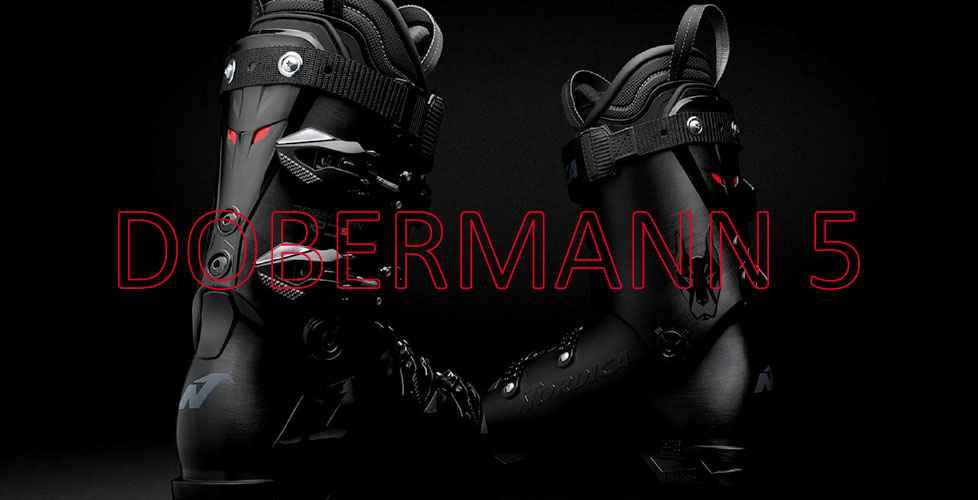 DOBERMANN 5