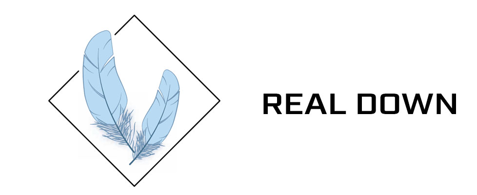 REAL DOWN